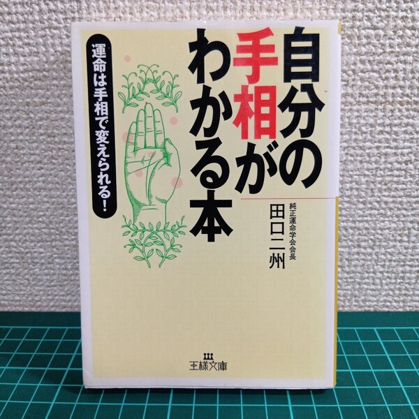D4-5 自分の手相がわかる本 (王様文庫) 田口二州/著