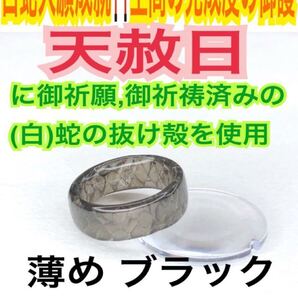 1個≪3号~27号 希望サイズ発送≫白蛇の指輪お守り【天赦日ご祈祷済】御神環 メモリーオイル 白蛇の抜け殻 リング 脱け殻 第0チャクラ 22