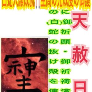 そしじ メモリーオイル 金運上昇 恋愛成就 開運 脱け殻 高波動 高エネルギー 白蛇の抜け殻 写真 白蛇のお守り【天赦日ご祈祷済み】10