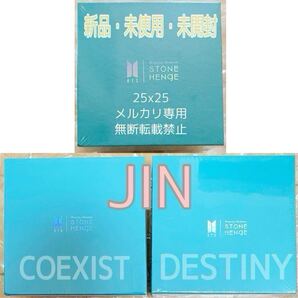 BTS STONEHENgE ストーンヘンジ MOMENT OF LIGHT JIN ジン COEXIST DESTINY BTS LOGO CHARM チャーム 公式 完売品 新品未使用未開封
