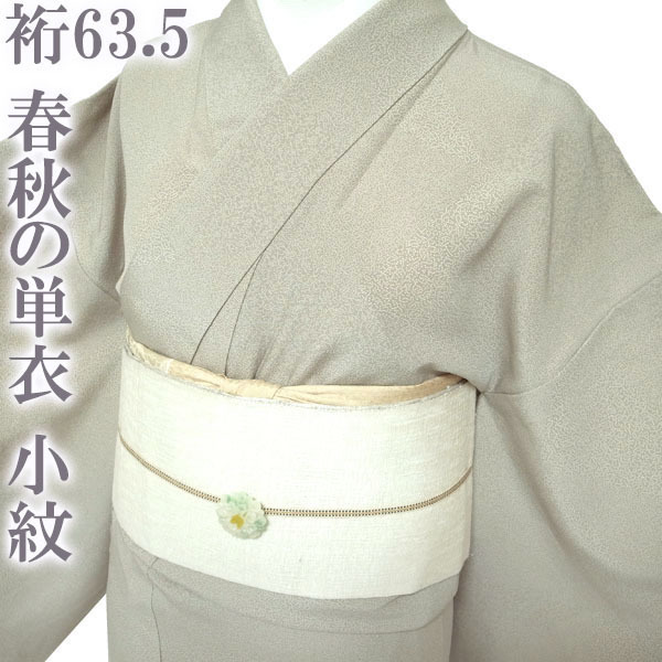 小紋 春秋の単衣 単衣 グレージュ 細かな 変わり柄 カジュアル 普段着 お茶会 美品 正絹 絹 なごみ 裄63.5 S 新古品 仕立て上がり sn1598