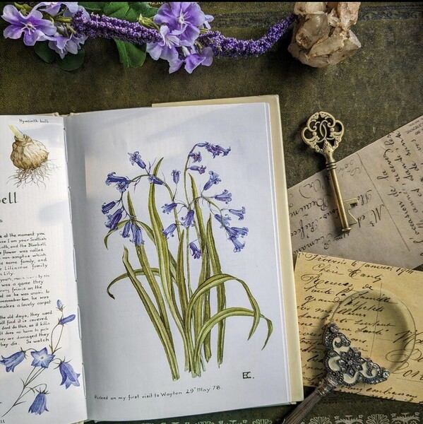 まるで植物図鑑の絵本*花とアルファベットで巡るフローラルヴィンテージ本 古書洋書