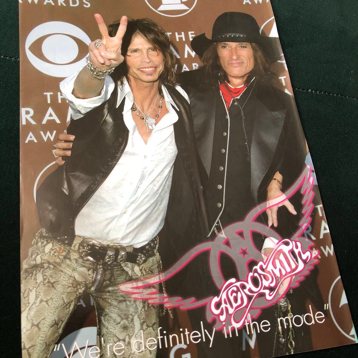 入手困難★レア★STEVEN TYLER スティーヴン タイラー バックパック 2025年最新】Yahoo!オークション -steven tylerの中古品・新品