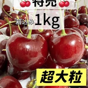 特売!9.5row超大粒 アメリカンチェリー箱こみ1kg 中元 家庭用 ポスト投函 車厘子 美國櫻桃 さくらんぼ 国内検品発送