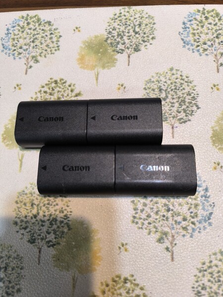 純正 Canon キャノン LP-E6N バッテリー 4つセット