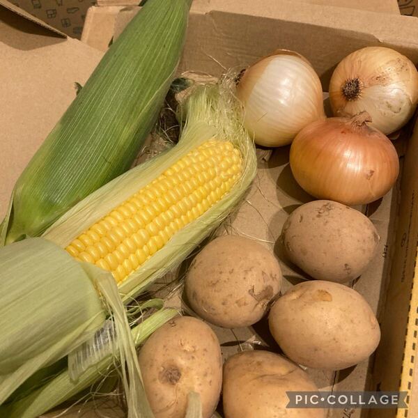 即ご購入歓迎!野菜セット!とうもろこし!2本じゃがいも!玉ねぎ!