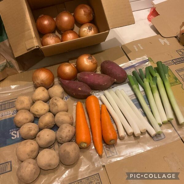 即買い歓迎!野菜詰め合わせ80サイズ!
