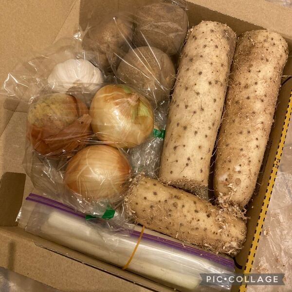 即買い歓迎!野菜詰め合わせ!贅沢長芋野菜セット!