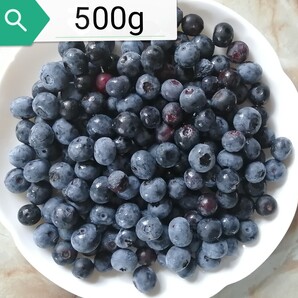 愛媛産 生 ブルーベリー 500g 無農薬 自家菜園