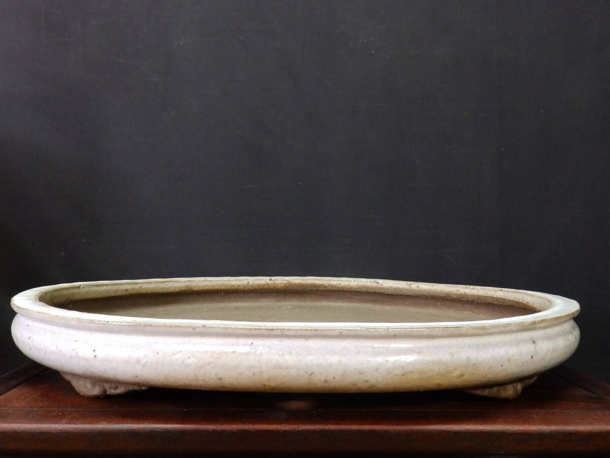 人気常滑作家【義村陶園】緑釉外縁楕円鉢 幅48.5 cm 和鉢 盆景鉢 日本盆器 人気常滑作家【義村陶園】緑釉外縁楕円鉢 幅48.5 cm 和鉢