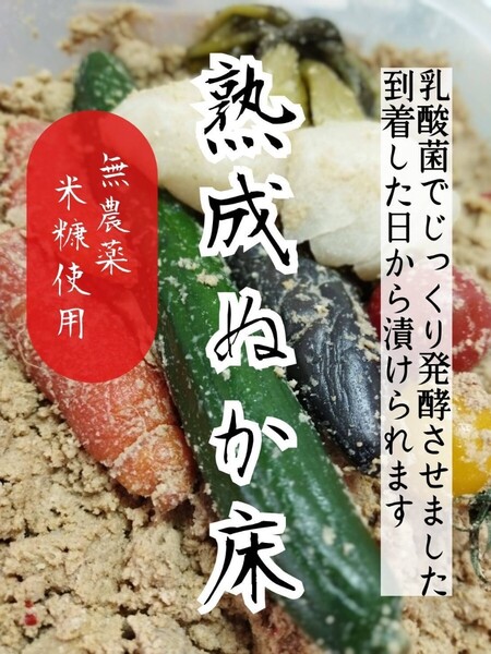 ★★【送料無料】850g×2袋 国産材料使用 ぬか床 熟成 無添加 漬物