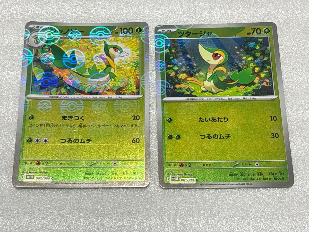 ツタージャAR 10枚 ジャノビーAR 10枚 2025年最新】Yahoo!オークション -ポケモンカード ツタージャの