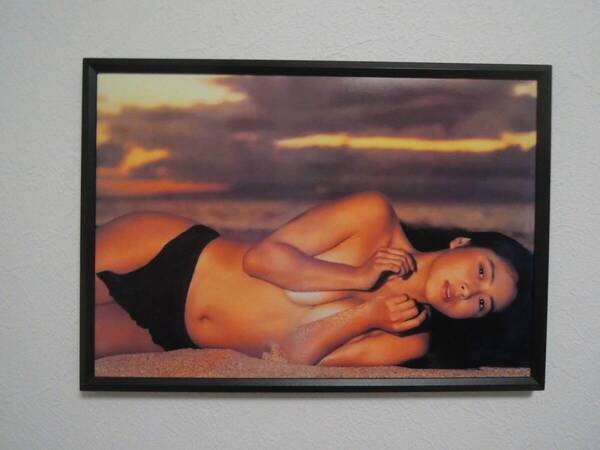 蒲池幸子 グラビア 坂井泉水 ポスター 写真 22cm×32cm サイズ A4 フォトフレーム