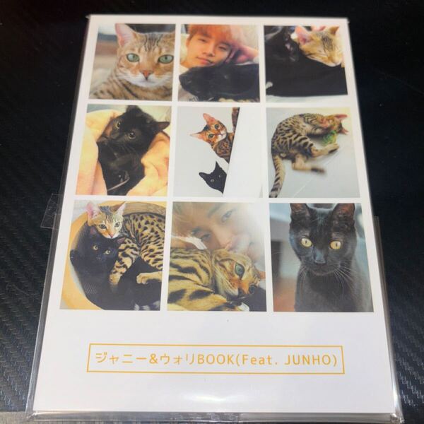 【美品】2PM ジャニー&ウォリBOOK Feat.JUNHO フォトブック ジュノ LEEJUNHO