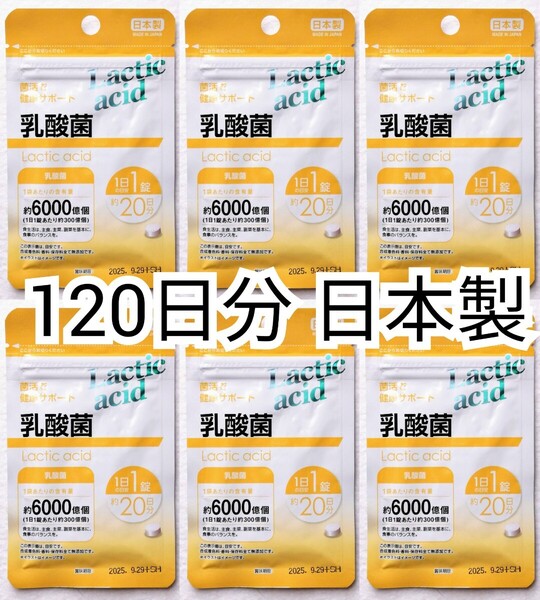 匿名配送 乳酸菌(1袋)6000億個×6袋120日分(4ヶ月分)120錠(120粒) 日本製無添加サプリメント(サプリ)健康食品 防水梱包追跡番号付配送