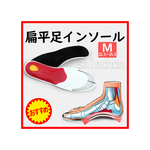 扁平足対策 Мサイズ 新感覚!アーチで快適♪ 扁平足インソール ■送料無料 匿名配送■