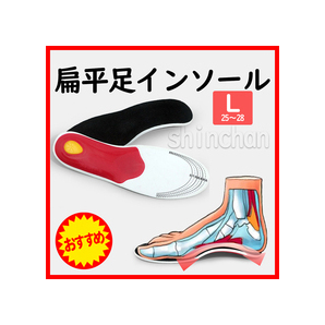 扁平足対策 Lサイズ 新感覚!アーチで快適♪ 扁平足インソール ■送料無料 匿名配送■
