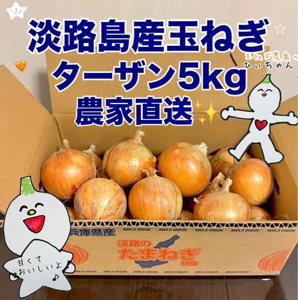 (農家直送)淡路島産 玉ねぎ ターザン 5kg #秀品