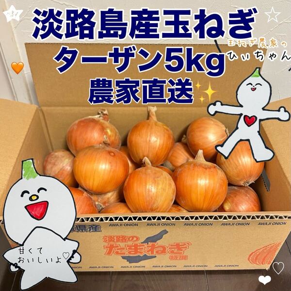 (秀品)淡路島産完熟玉ねぎ中生ターザン5kg 農家直送
