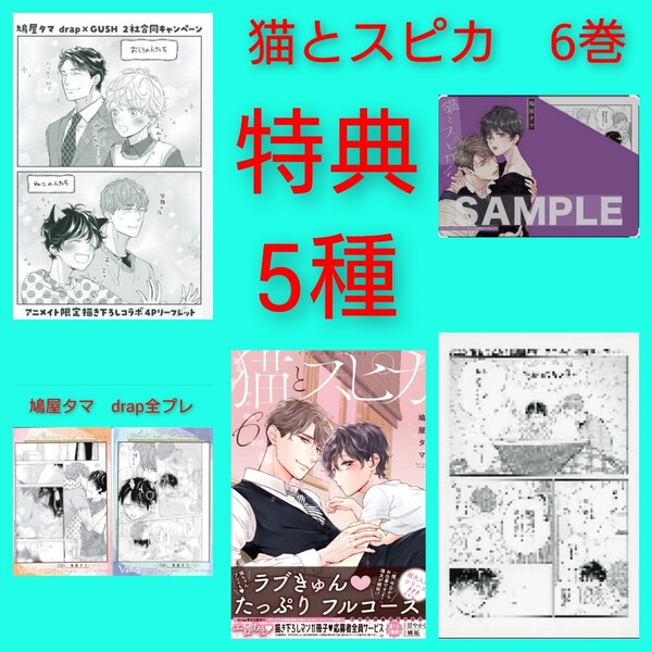 ◆7巻追加!◆猫とスピカ6巻 特典5種 アニメイト限定 リーフレット 2社合同コラボ ホーリンラブブックス・まんが王限定 鳩屋タマ