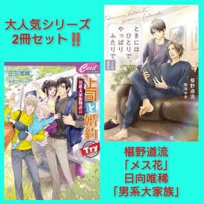 大人気BLシリーズ 椹野道流「メス花13」日向唯稀「男系大家族22」医者×医者 上司×部下 大家族 子育てBL