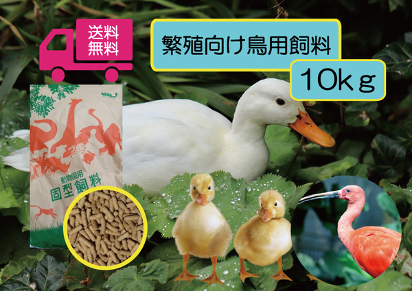 ①送料無料 大袋1袋【アヒル・コールダック用繁殖、ヒナ向け飼料】10kg 水鳥全般、トキ用として