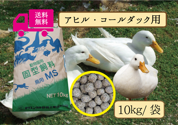 ※【期間限定SALE大特価】送料無料【アヒル・コールダック用飼料・ペレット】10kg 水禽、エミュー、イグアナにも