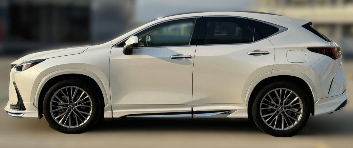 レクサスNX 20系LEXUS 新型NX フェンダーアーチモール（カラード） レクサスNX 20系LEXUS 新型NX フェンダーアーチモール（カラード