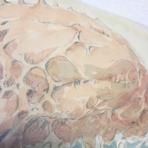 保護袋入り【34年前の当時物】風の谷のナウシカ【レア】ポストカード スタジオジブリ カード 宮崎駿m