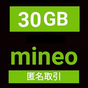 約30GB マイネオ パケットギフト mineo パケットギフトコード 30ギガ パケギフ【送料無料】匿名配送