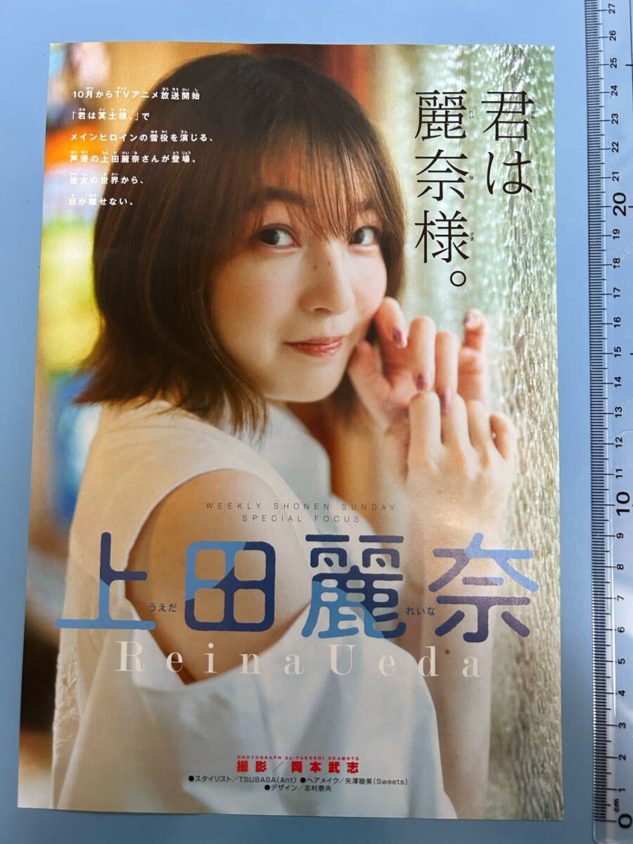 上田麗奈 雑誌切り抜き クリアファイル6冊分 上田麗奈 雑誌切り抜き クリアファイル6冊分 2025年最新】Yahoo