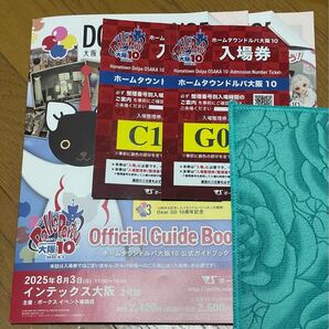 ボークス 公式ガイドブック 抜き取り無し ホームタウンドルパ 大阪10 ドルパ ガイドブック ドールズパーティ