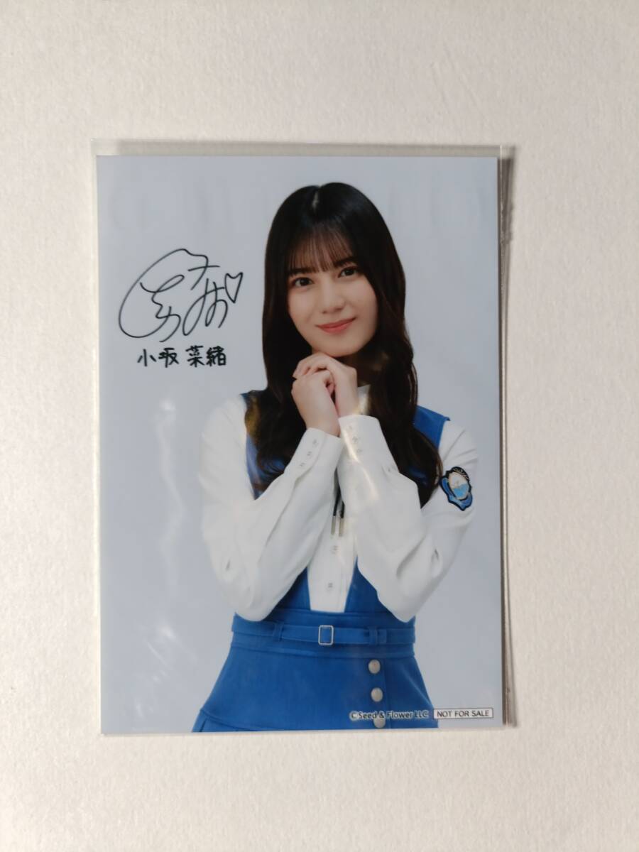 日向坂46 小坂菜緒 ローソン限定ブロマイド 2025年最新】Yahoo!オークション -小坂菜緒 ローソンの中古品