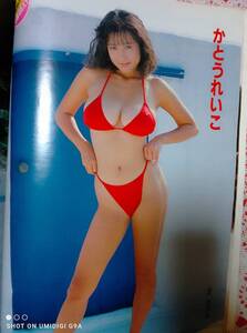 FRIDAY フライデースペシャル 1994年11月14日号☆細川ふみえ/かとうれいこ/宮沢りえ/中島朋子/南野陽子/松田聖子/中森明菜/日航機墜落事故