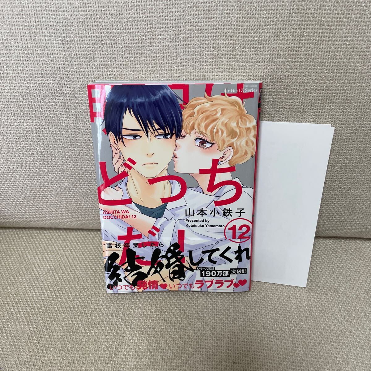 明日はどっちだ!　山本小鉄子1~11巻　帯付き　リーフレット3枚付き Amazon.co.jp: 明日はどっちだ！ 1 (HertZ&CRAFT) 電子書籍