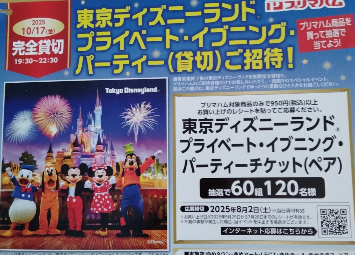 お値下げ‼️Private Evening Party 95 東京ディズニーランド Yahoo!オークション -「ディズニー イブニングパーティー」の