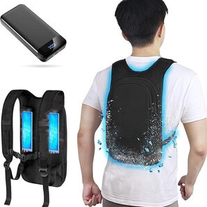 ペルチェ ベスト【2025超大冷却面&2つ冷却ブレート&30000