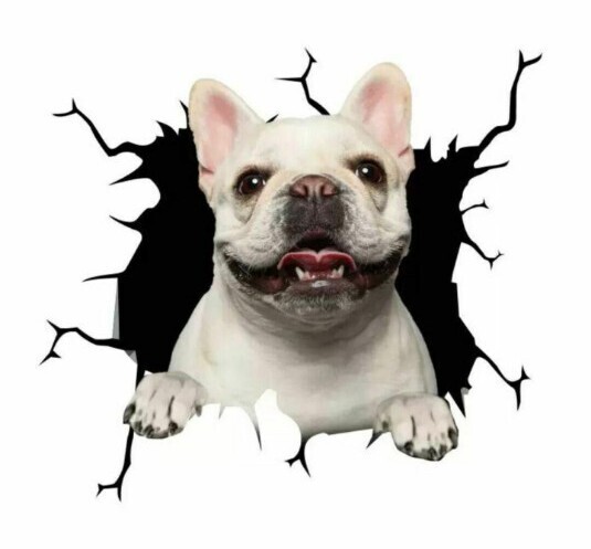 カーステッカー シール 3D フレンチブルドッグ犬 わんちゃん カー用品 かわいい ウォールステッカー 車外アクセサリー いぬ イヌ 白い犬