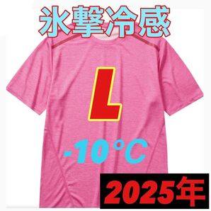 【L サクラ 半袖 Tシャツ】ワークマン 氷撃冷感 (R)-10℃ 新品 ワークマン女子 ワークアウト ランニング ジム