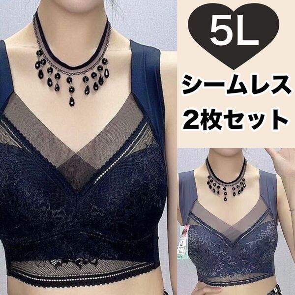 ノンワイヤー シームレス ブラジャー ブラック 黒 グレー レース 大きいサイズ 5L 4XL ナイトブラ 夜用ブラ ブラ XXXXL 2枚セット