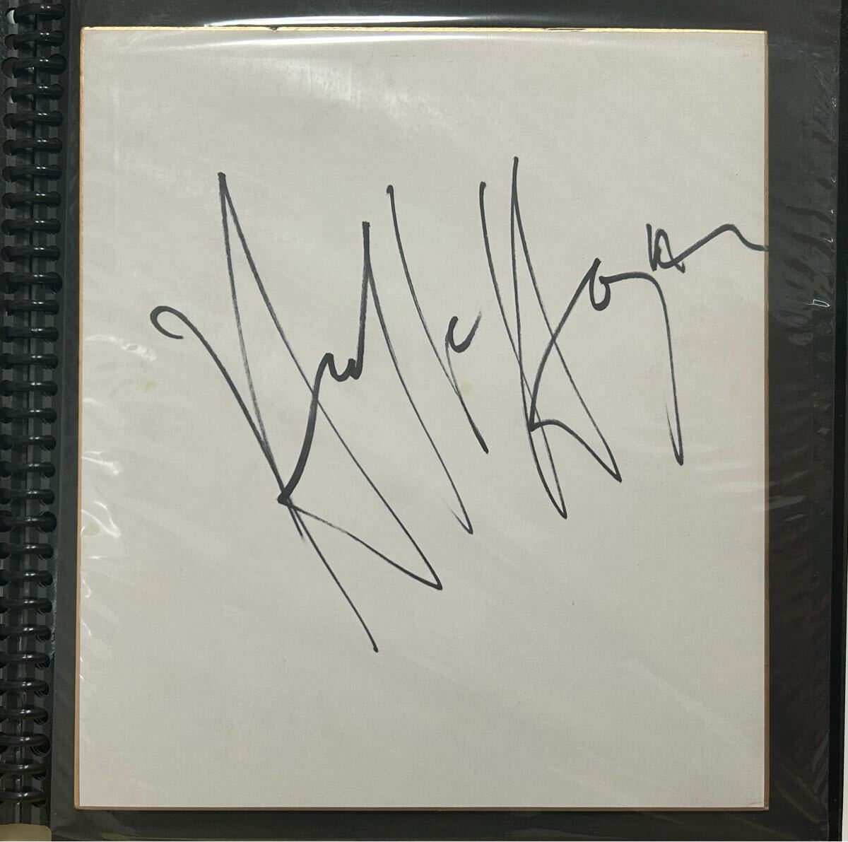 2025年最新】Yahoo!オークション -ハルクホーガンサインの中古品