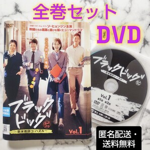 ソ・ヒョンジン『ブラックドッグ 新米教師コ・ハヌル』レンタル落ちDVD★全巻★韓国ドラマ