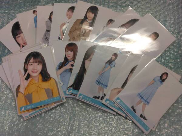 送料込即決 日向坂46 生写真44枚組 佐々木久美 加藤史帆 富田鈴花 丹羽明里 高瀬愛奈 金村美玖 松田好花 河田陽菜 渡邊美穂 佐々木美玲