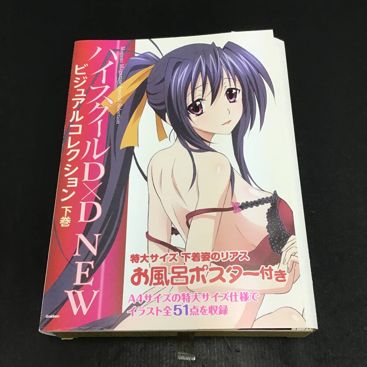 ハイスクールD×D NEW　ビジュアルコレクション 下巻　メガミマガジン A1mCgPiKfGL.jpg_BO30,255,255,