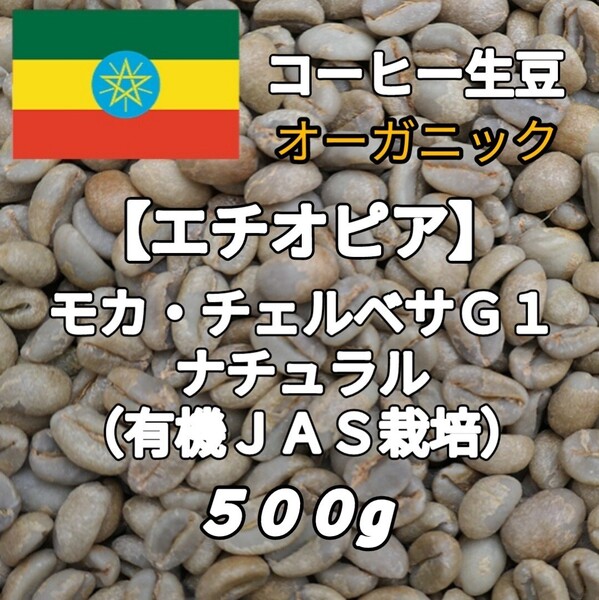 【エチオピア】モカ・チェルベサG1 ナチュラル コーヒー生豆500g(コーヒー生豆 自家焙煎 コーヒー豆 コーヒー 珈琲)