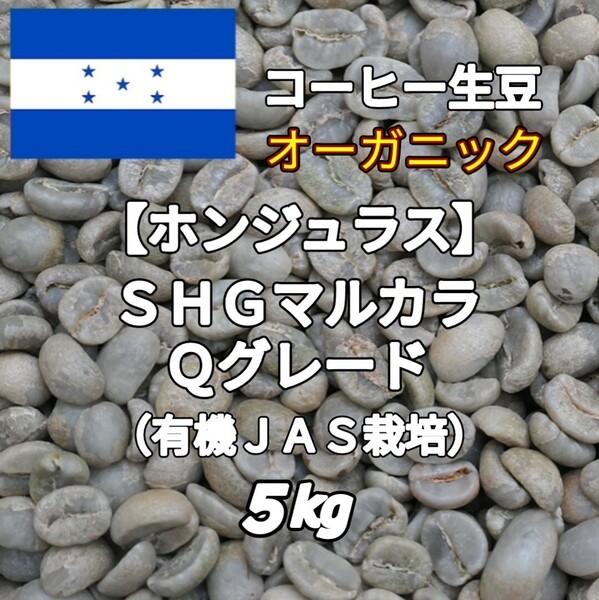 【ホンジュラス】SHGマルカラ Qグレード コーヒー生豆5kg(コーヒー生豆 自家焙煎 コーヒー豆 コーヒー 珈琲)