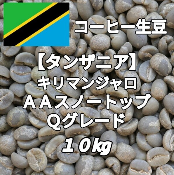 【タンザニア】AAスノートップ Qグレード コーヒー生豆 10kg(コーヒー生豆 自家焙煎 コーヒー豆 コーヒー 珈琲)