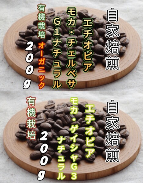 【エチオピア】モカ・チェルベサ【エチオピア】モカ・ゲイシャ 各200g(自家焙煎 コーヒー豆 珈琲 コーヒー)
