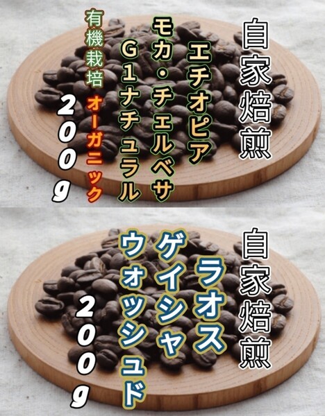 【エチオピア】モカ・チェルベサ【ラオス】ゲイシャ 各200g(自家焙煎 コーヒー豆 珈琲 コーヒー)