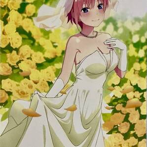 ☆ 五等分の花嫁∬ DVD 1 二期 PCBP-54411
